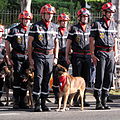 Cynotechnical unit of the Marseille Naval Fire Battalion during the military parade of 14 July 2012 in Marseille, with a decorated dog.