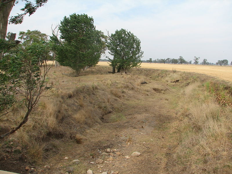 File:Coolaburragundy River, at Lawson's Crossing near Leadville NSW, November 2009.jpg