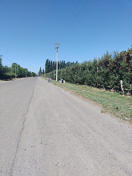 File:Cosecha de la manzana en Allen, Alto Valle del Río Negro 01.jpg