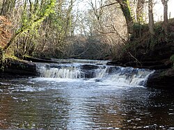 The Craigmill Falls on the Cessnock water. Craigmill Waterfalls on the Cessnock Water.JPG