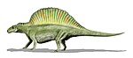 Ctenosauriscus Ctenosauriscus BW.jpg