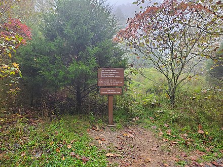 The saddle of Cumberland Gap along the Wilderness Road