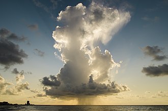 Cumulonimbus cloud over the Gulf of Mexico in Galveston, Texas Cumulonimbus calvus cloud over the Gulf of Mexico in Galveston, Texas.jpg