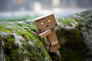 Danbo (2).jpg