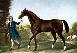 Peinture représentant un cheval bai à la tête petite, tenu en main par un homme en costume d'époque, un cavalier sur un cheval blanc dans le fond du décor.