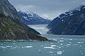 Dawes Glacier at the head of Endicott Arm Fjord 3.jpg