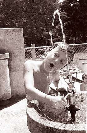 Slika:Deček ob vodometu 1961.jpg