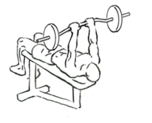 https://upload.wikimedia.org/wikipedia/commons/thumb/1/12/Decline-close-grip-bench-to-skull-crusher-2.png/220px-Decline-close-grip-bench-to-skull-crusher-2.png