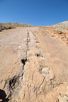 Dinosaur footprints in ToroToro Bolivia.jpg