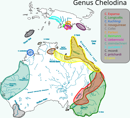 Tập_tin:Distribucion_genus_chelodina_australia_mas_papua_nueva_guinea.svg