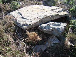 Imagine ilustrativă a articolului Dolmen du Coll de les Portes