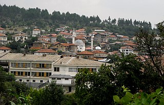 <span class="mw-page-title-main">Dolno Dryanovo</span> Village in Blagoevgrad Province, Bulgaria