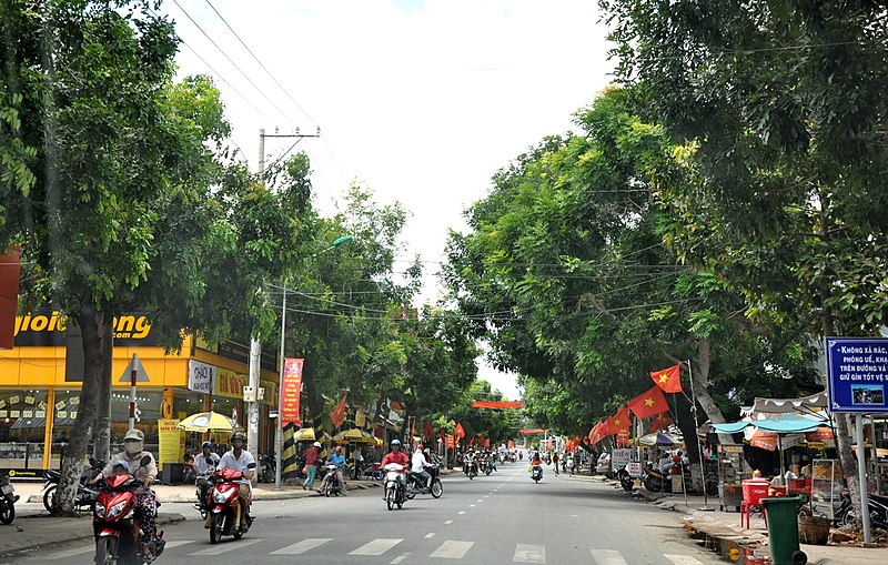 File:Duong hung vuong-quoc lo 30-Hong Ngu Dong thap - panoramio.jpg