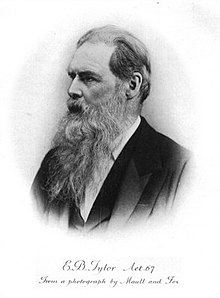 Sir E. B. Tylor (1832-1917), nineteenth-century British anthropologist Edward Burnett Tylor.jpg