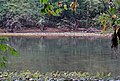 Elk River (Clay County, West Virginia, USA) 1 (30354808001).jpg
