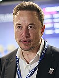 Gambar mini seharga Elon Musk