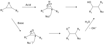 Two pathways for the hydrolysis of an epoxide Epoxide hydrolysis.svg