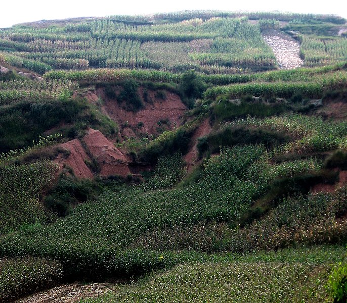 File:Erosion gulleys on unterraced farmland in Yunnan.jpg