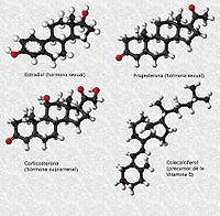 Derivados del colesterol