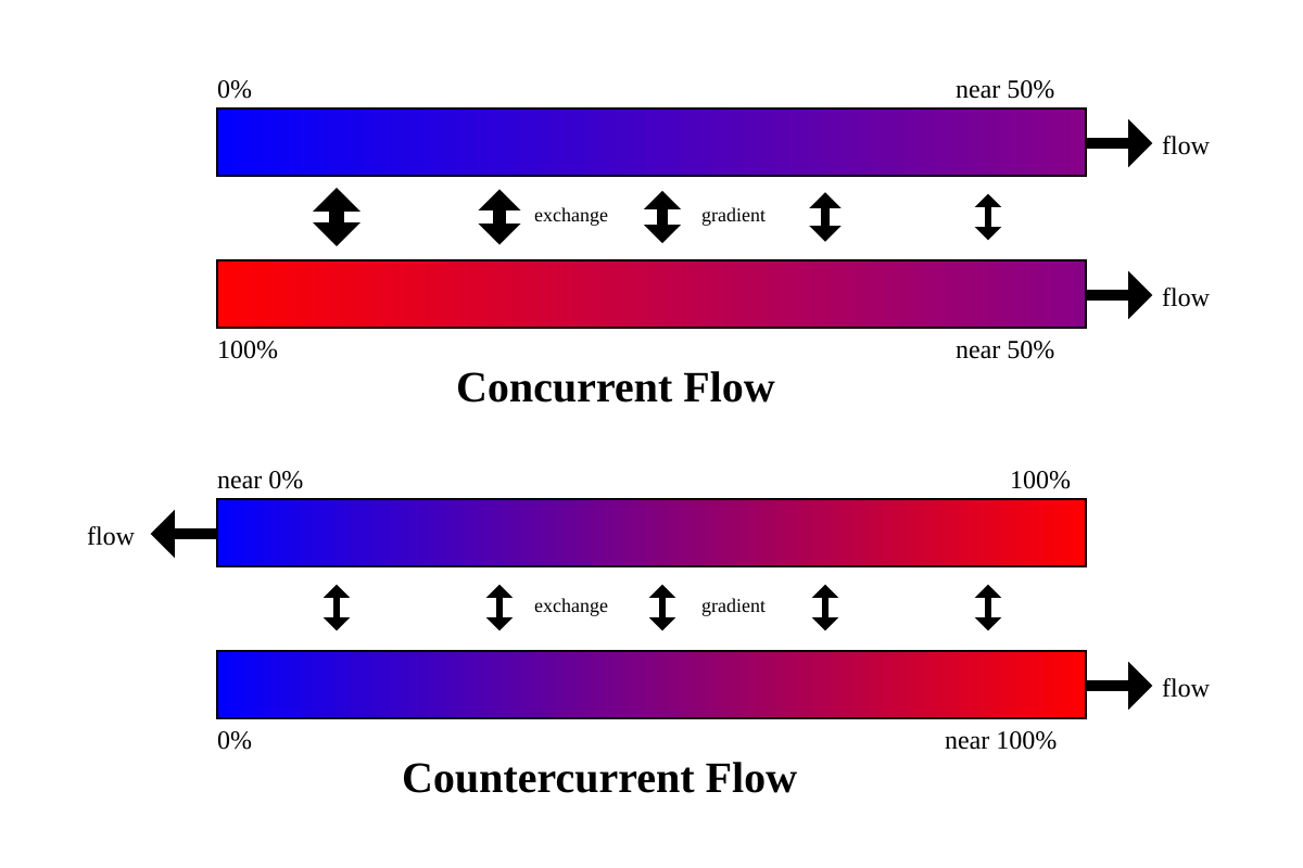 Near 100. Countercurrent Exchanger. Countercurrent Exchange System. Countercurrent Flow Biology. Two phase Flow photo.