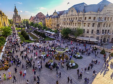 File:Festivalul Florilor TimFloralis.jpg