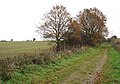 Field adjoining the Weavers Way in the north - geograph.org.uk - 1062379.jpg