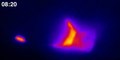 File:Filamin-and-Phospholipase-C--Are-Required-for-Calcium-Signaling-in-the-Caenorhabditis-elegans-pgen.1003510.s007.ogv