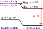 Vignette pour Structure fine