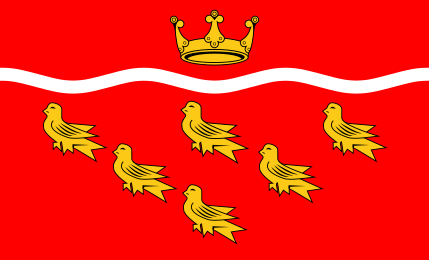File:Flag of East Sussex.svg