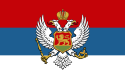 Regno del Montenegro – Bandiera