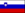 Flag of Slovenia (bordered).png