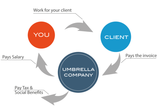 Flowchart of Umbrella Employment
