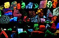 Bộ sưu tập những mẫu khoáng vật phát sáng huỳnh quang với những bước sóng khác nhau khi được kích thích dưới đèn cực tím.