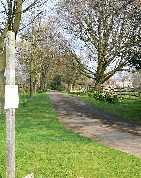 File:Footpath leading to Brewers Wood - geograph.org.uk - 382591.jpg