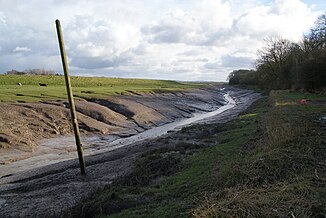 Freckleton Pool nedre delen av Dow Brook vid lågvatten