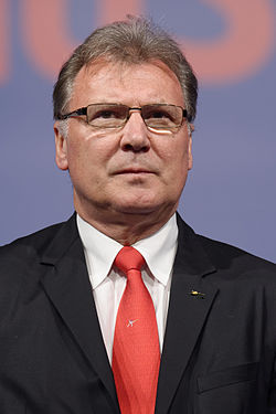 Frédéric Pietruszka 2015-ben