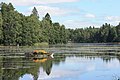 Gallträsk lake.jpg