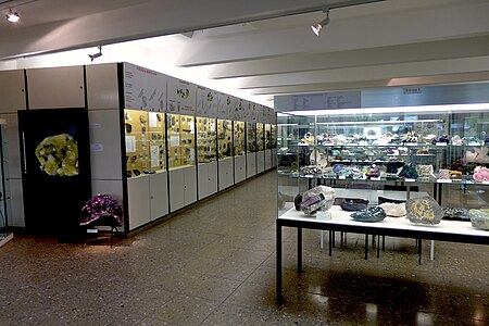 GeoMuseum Koeln (V 0986 2017)