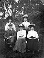 Group picture including Mrs Poole and Mrs Hughes, Woodstown, Waterford, Ireland, 1900s (5750104912).jpg