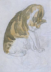 Gwen John: Cat Cleaning Itself, lyijykynä ja akvarelli 1904–1908.
