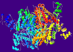 Vignette pour Hydroxyméthylglutaryl-CoA réductase