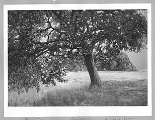 Landschaft mit Apfelbaum