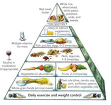 Harvard food pyramid