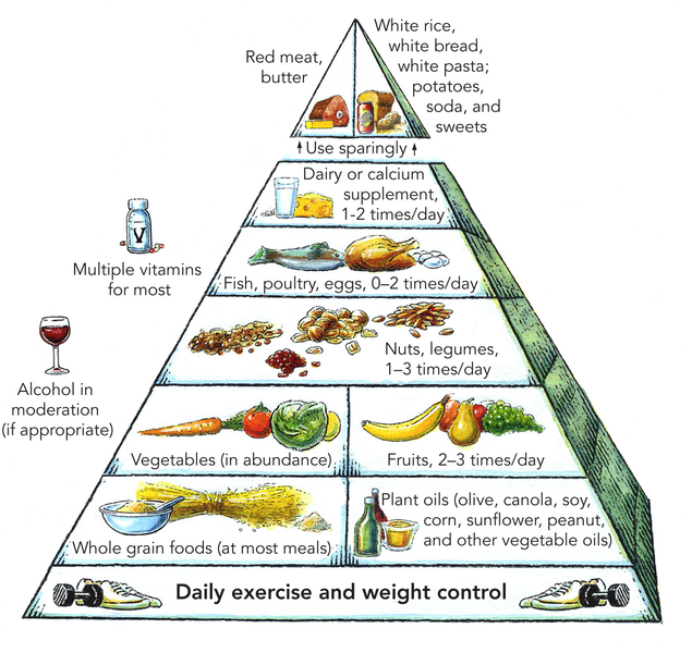 File:Harvard food pyramid.png