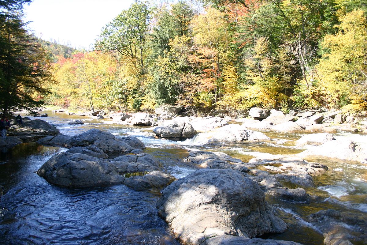 Loyalsock Creek Hatch Chart