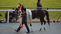 Hokko Tarumae, the winner of the 2014 edition Hokko Tarumae Champions Cup 2014(IMG2).jpg