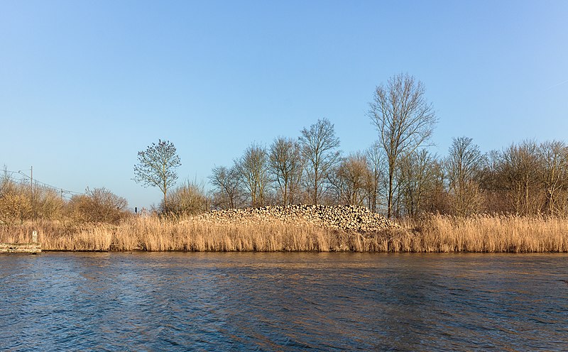 File:Hollandse Hout, natuurgebied in Flevoland. 07-02-2020. (actm.) 15.jpg