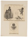 Homo sapiens - Fiji - 1873 - Print - Iconographia Zoologica - Special Collections University of Amsterdam - UBA01 IZ19500118.tif