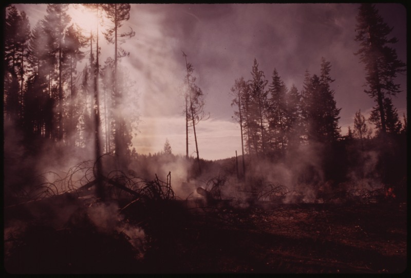 File:IN AUGUST, 1973 A MAJOR FOREST FIRE SWEPT THROUGH 17,470 ACRES OF THE WESTERN SLOPES OF THE SIERRA MOUNTAIN RANGE... - NARA - 553561.tif