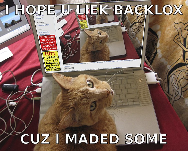 File:I hope u liek backlox lolcat image macro.jpg